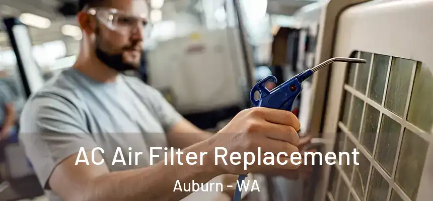  AC Air Filter Replacement Auburn - WA