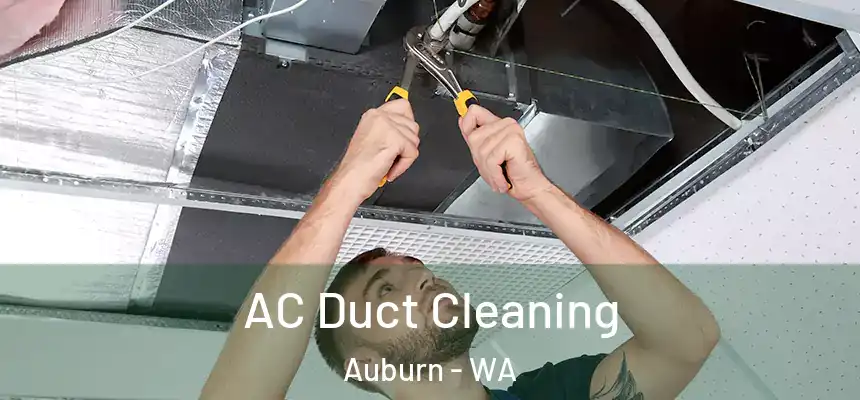  AC Duct Cleaning Auburn - WA