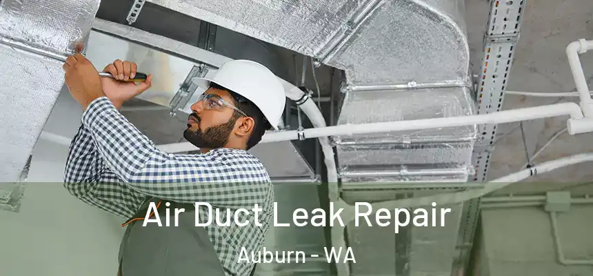 Air Duct Leak Repair Auburn - WA