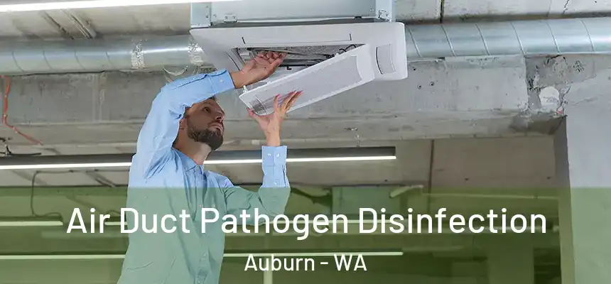 Air Duct Pathogen Disinfection Auburn - WA