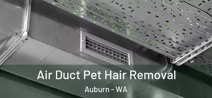Air Duct Pet Hair Removal Auburn - WA