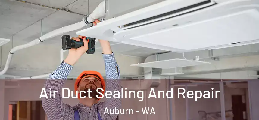 Air Duct Sealing And Repair Auburn - WA
