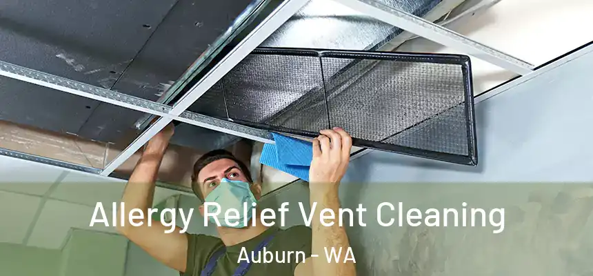 Allergy Relief Vent Cleaning Auburn - WA