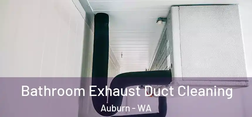 Bathroom Exhaust Duct Cleaning Auburn - WA