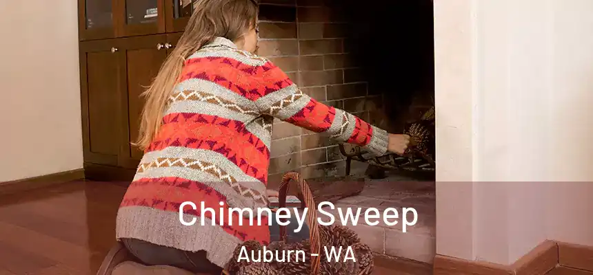 Chimney Sweep Auburn - WA