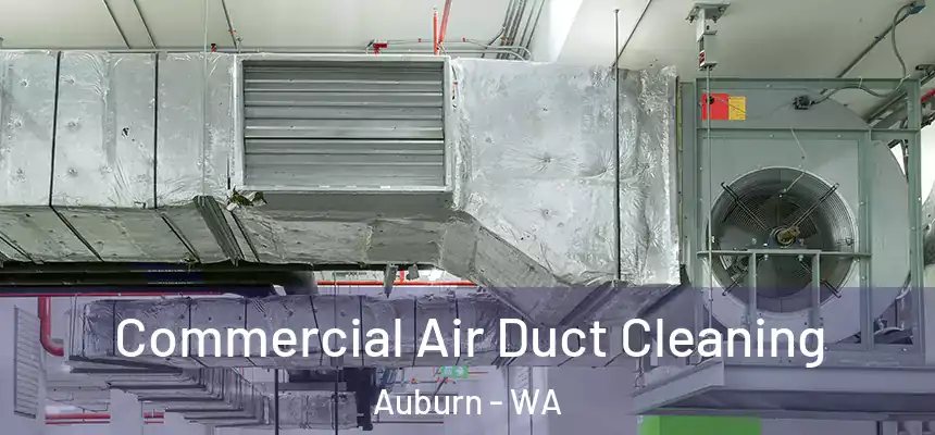 Commercial Air Duct Cleaning Auburn - WA