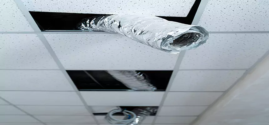 Our Air Duct Pet Hair Removal Services in Auburn, WA