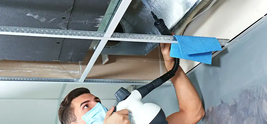 Our Air Duct Rodent Removal Services in Auburn, WA