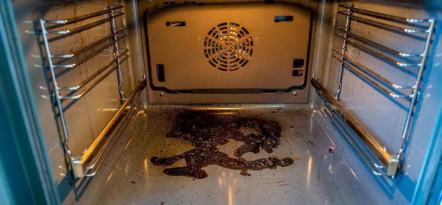 Our Air Purifier Installation Services in Auburn, WA