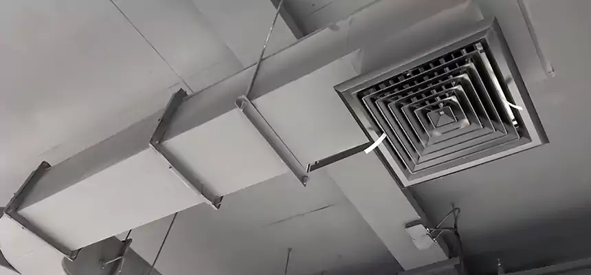 Restorative Allergy Relief Vent Cleaning – Coil, Blower & Housing Detail in Auburn