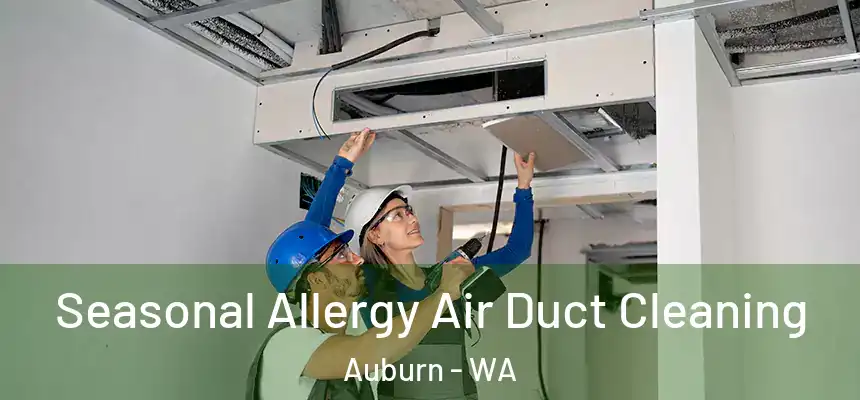 Seasonal Allergy Air Duct Cleaning Auburn - WA