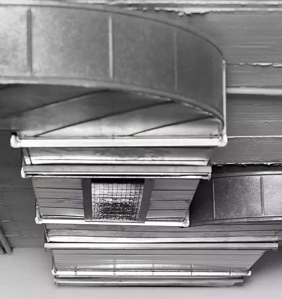 Professional Air Duct Pest Removal in Auburn, WA