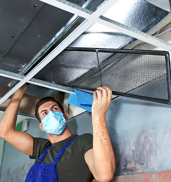 Professional Air Duct Pollen Cleaning in Auburn, WA