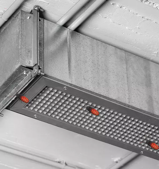 Affordable Insect Removal from Air Ducts in Auburn, WA