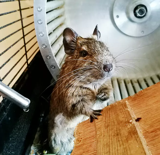 Why Homeowners & Businesses Trust Us Auburn, WA?