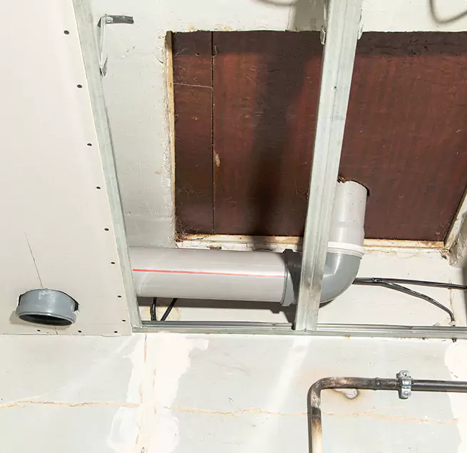 Why Homeowners & Businesses Trust Us in Auburn, WA?