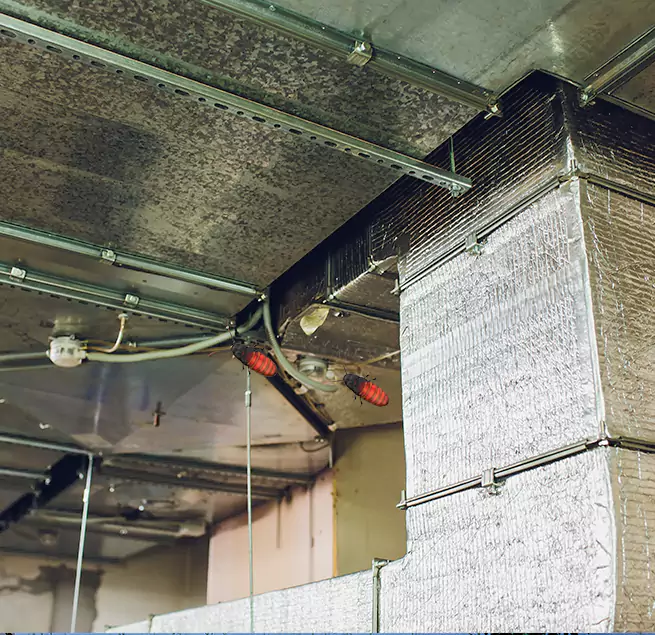 Why Homeowners & Businesses Trust Us Auburn, WA?