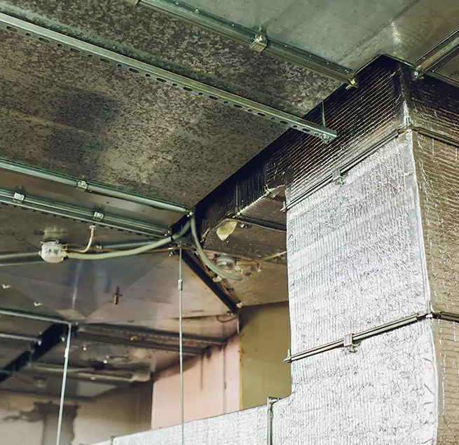 Why Homeowners & Businesses Trust Us in Auburn, WA?