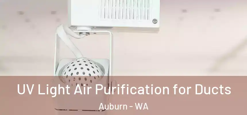  UV Light Air Purification for Ducts Auburn - WA