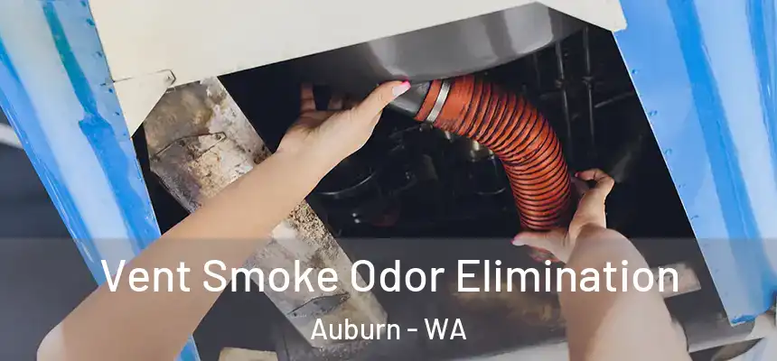 Vent Smoke Odor Elimination Auburn - WA