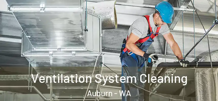 Ventilation System Cleaning Auburn - WA