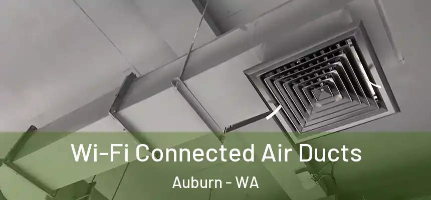  Wi-Fi Connected Air Ducts Auburn - WA
